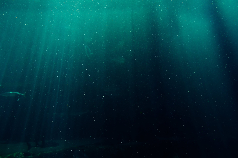 Deep ocean with sunlight filtering through from above.