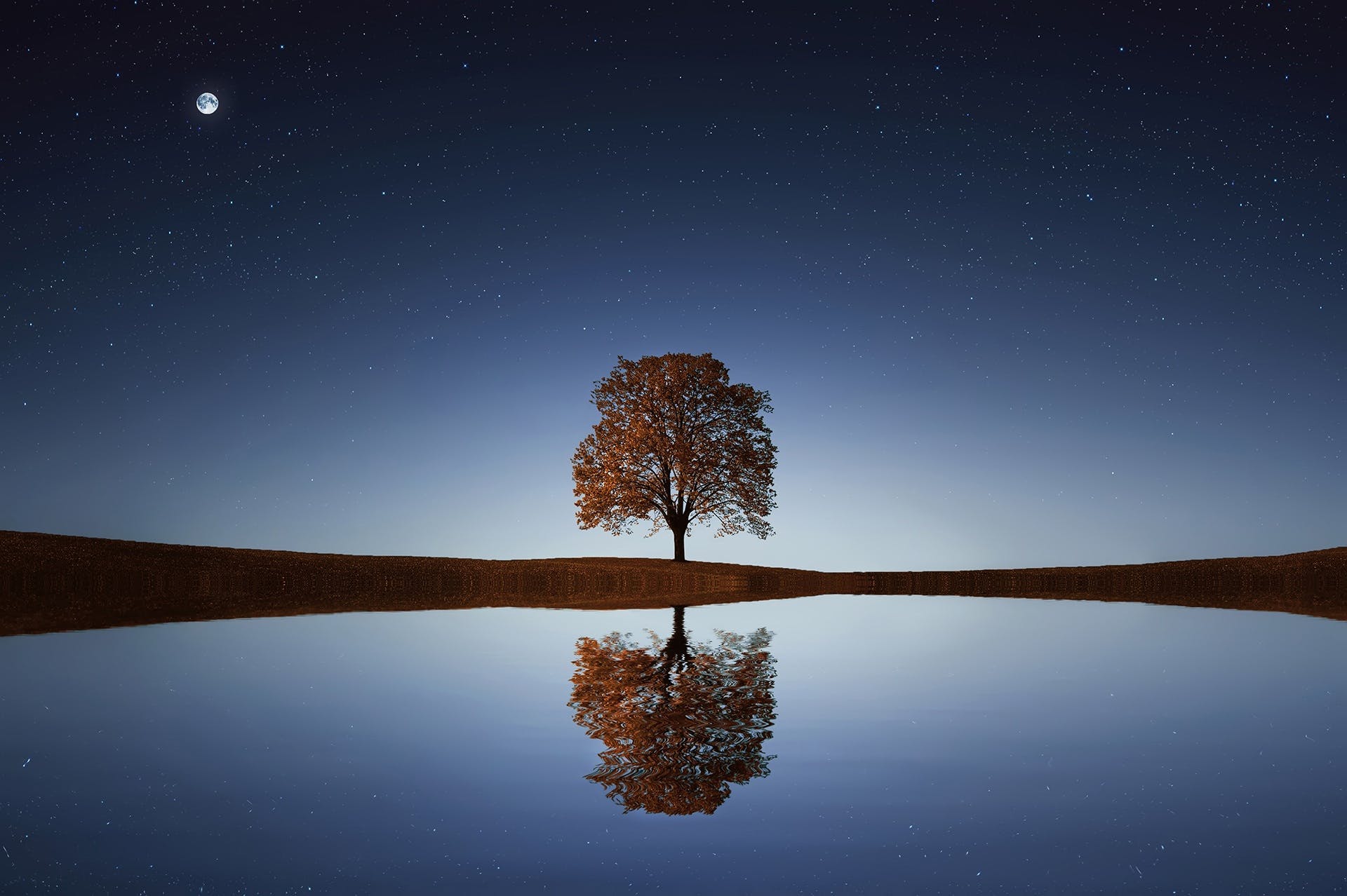 A lone tree on a starry night, its reflection in a body of water below.